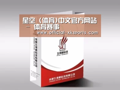 项目名称十三
