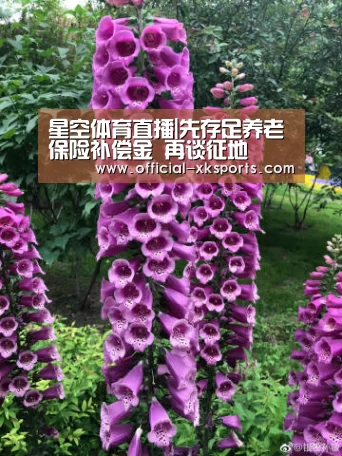 星空体育app下载