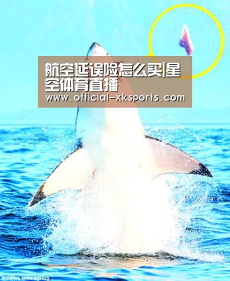航空延误险怎么买|星空体育直播(图3) 星空体育