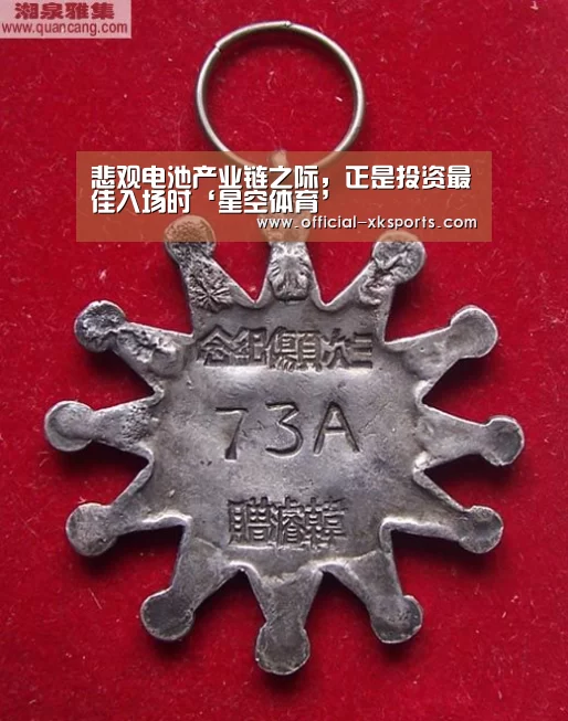 悲观电池产业链之际,正是投资最佳入场时‘星空体育’(图1) 星空体育