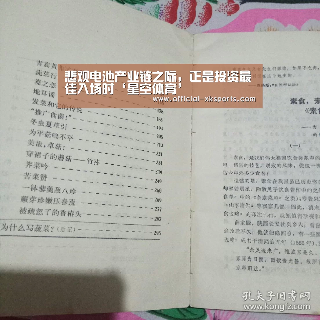 悲观电池产业链之际,正是投资最佳入场时‘星空体育’(图4) 星空体育app