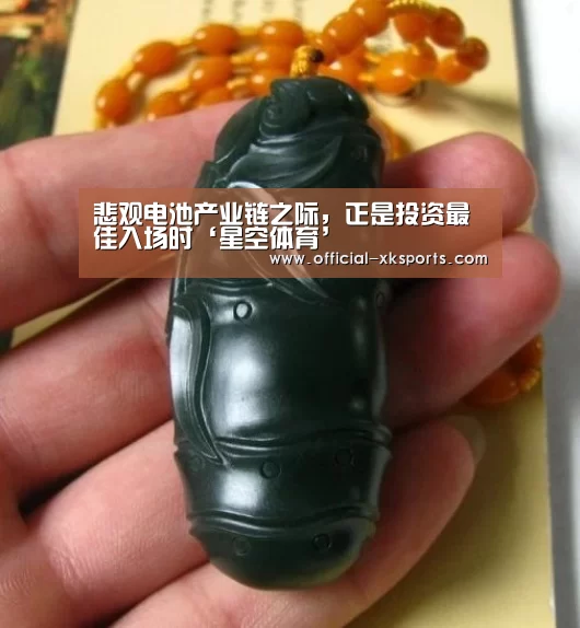 悲观电池产业链之际,正是投资最佳入场时‘星空体育’(图3) 星空体育直播