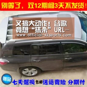又搞大动作!谷歌竟想“抹杀”URL-星空体育(图2) 星空体育