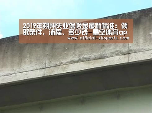 2019年朔州失业保险金最新标准:领取条件、流程、多少钱-星空体育app下载(图1) 星空体育直播