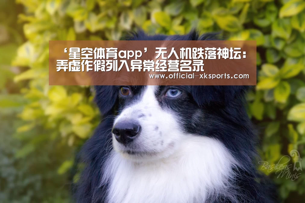 ‘星空体育app’无人机跌落神坛:弄虚作假列入异常经营名录(图1) 星空体育