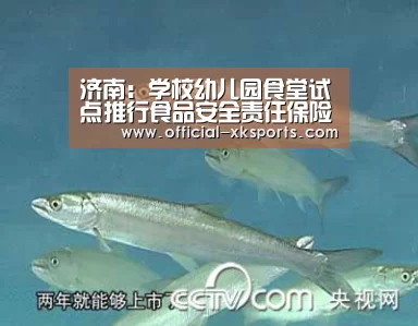 星空体育直播