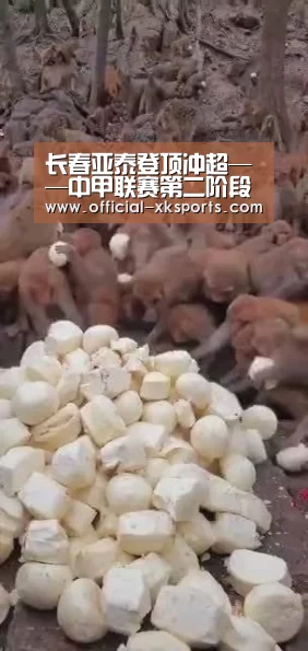 星空体育直播