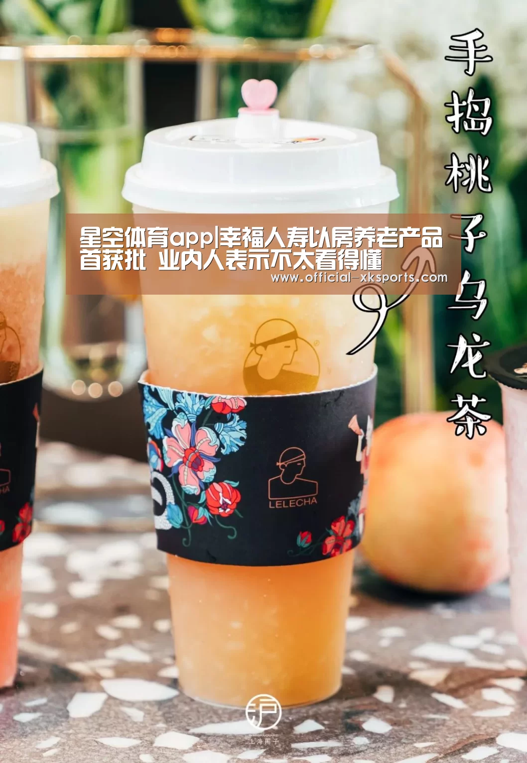 星空体育app|幸福人寿以房养老产品首获批 业内人表示不太看得懂(图2) 星空体育app