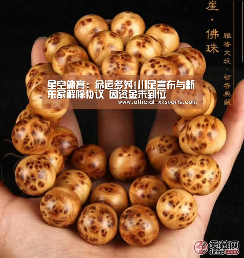 星空体育直播