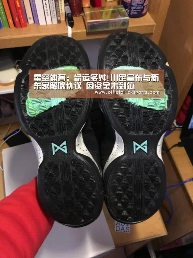 星空体育app